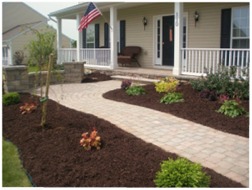 Benefits of Landscape Mulch | New Haven & Fairfield County, Connecticut