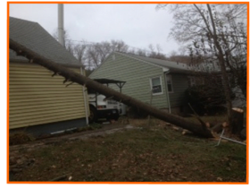 Emergency Tree Removal - Storm Damage Cleanup | Madison, Orange, Milford, CT