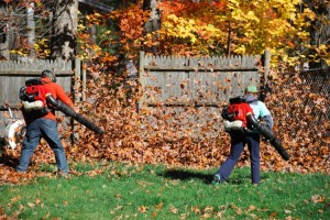 leafblower