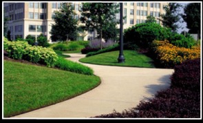 Commercial Landscape Design and Maintenance Services | Hamden, CT