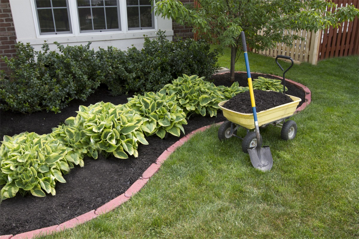 Mulch Landscaping Ideas