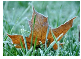 Winter Lawn Preparation - Hamden, CT - Affordable Landscape and Tree Services, LLC.